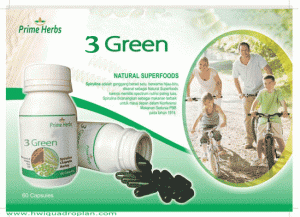 Menurunkan Berat Badan Secara Cepat dan Sehat 3green 300x217 Menurunkan Berat Badan Secara Cepat dan Sehat