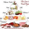 Diet Rendah Karbohidrat
